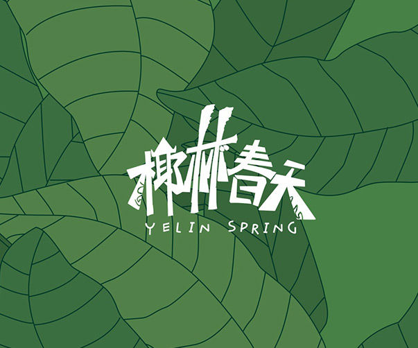 漯河企業(yè)VI設(shè)計(jì)案例及服務(wù)推薦